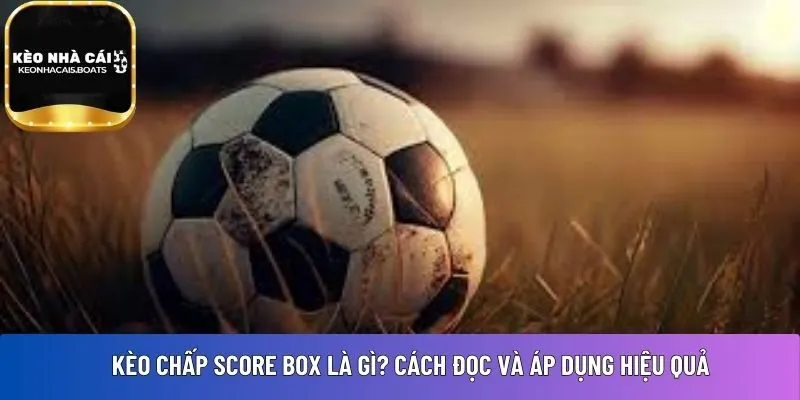kèo chấp score box